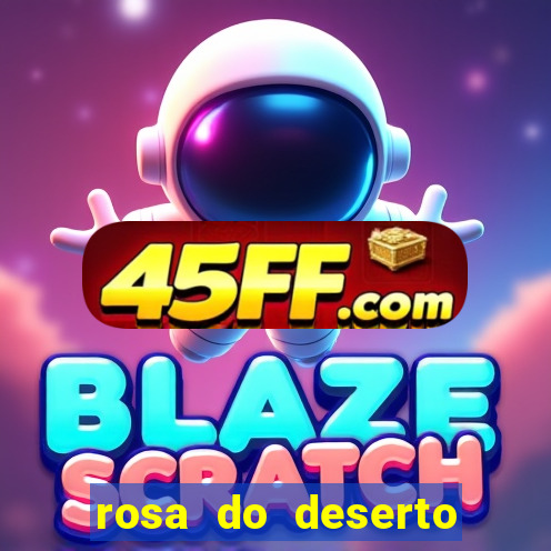 rosa do deserto lilac frost